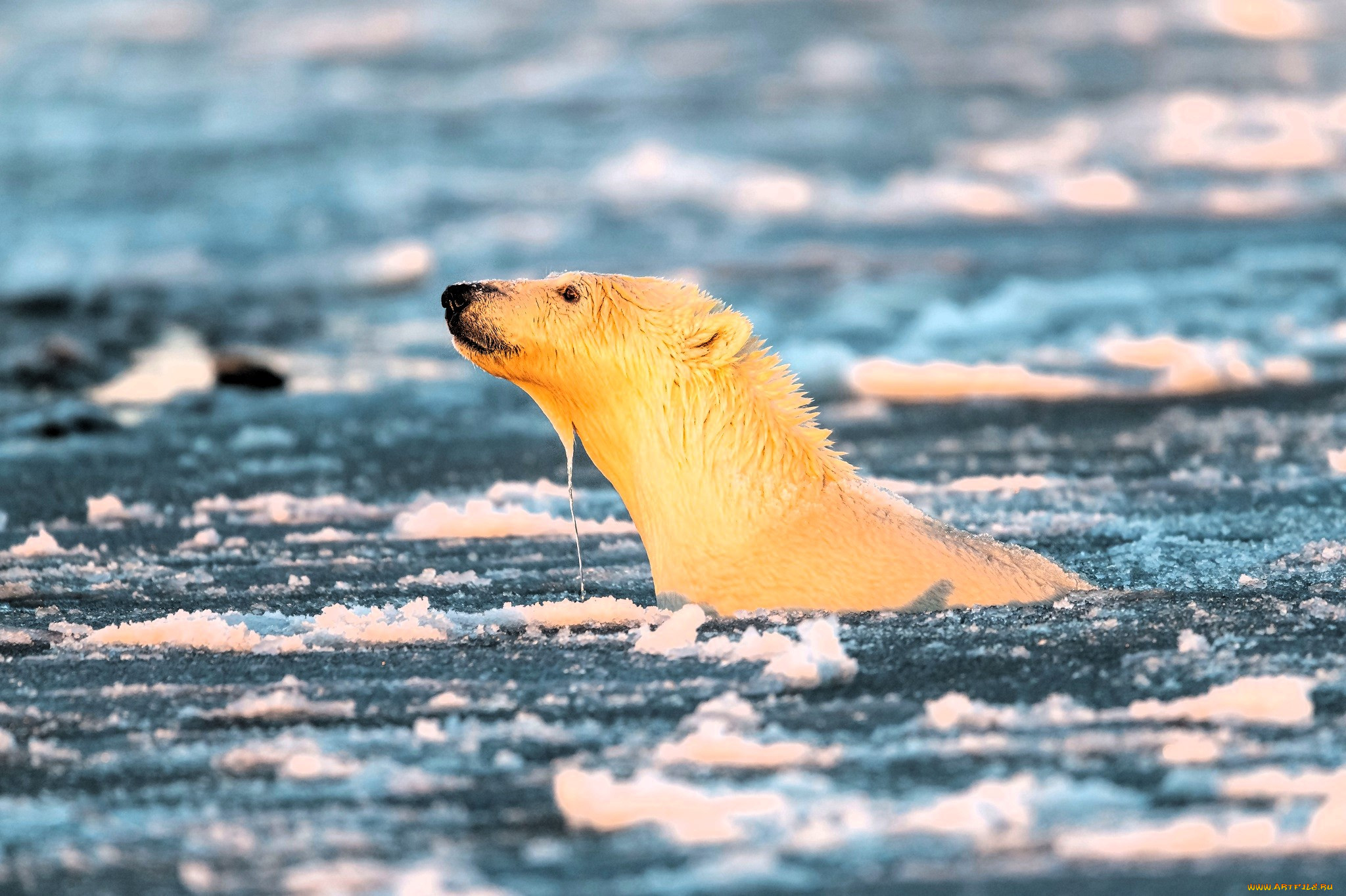 ��������, �������, �������, �����, ������, ����, ���, ����